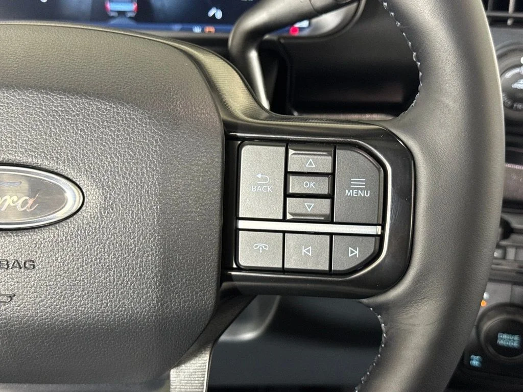 New 2026 Black Ford Platinum image 41