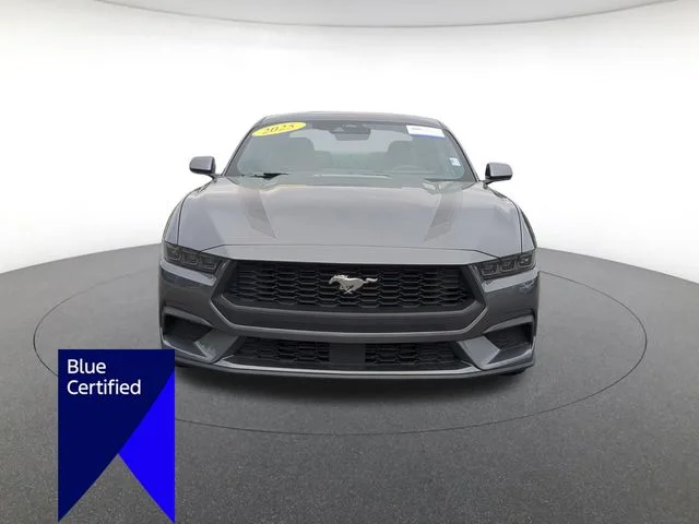 Used 2025 Gray Ford EcoBoost image 8