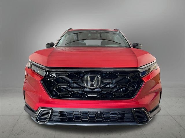 New 2026 Red Honda Sport image 9
