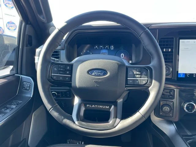 New 2026 Carbonized Gray Metallic Ford Platinum image 13