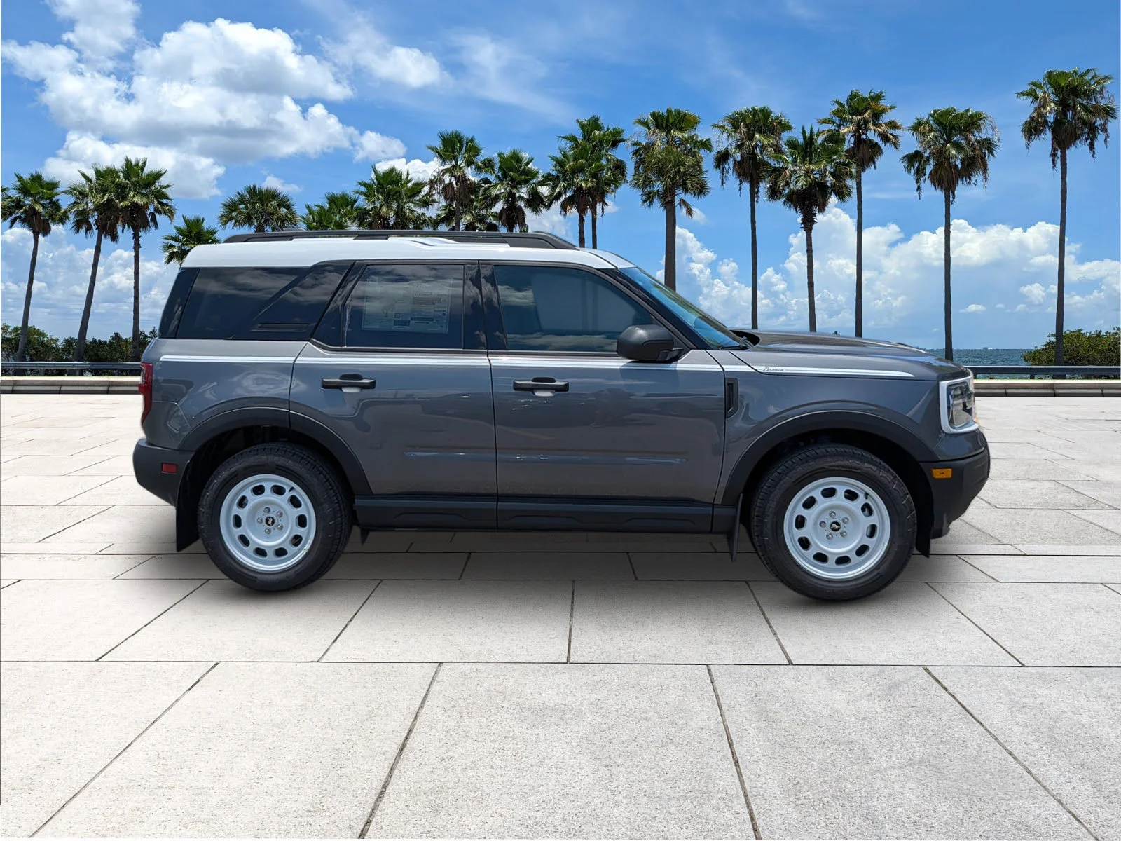 New 2026 Carbonized Gray Metallic Ford Heritage image 8