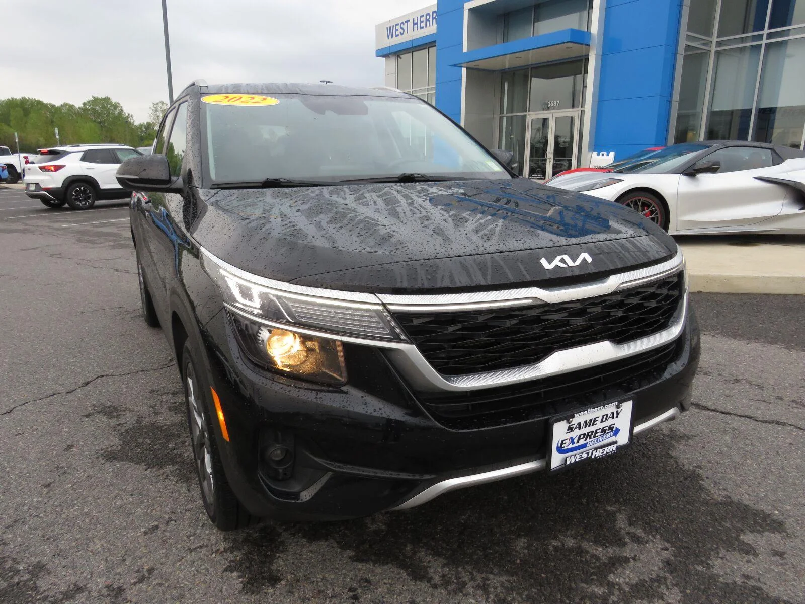 Used 2022 Cherry Black Kia S image 3