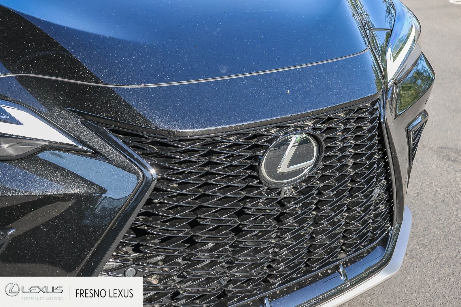 New 2026 Caviar Lexus NX 350h F SPORT HANDLING AWD image 11
