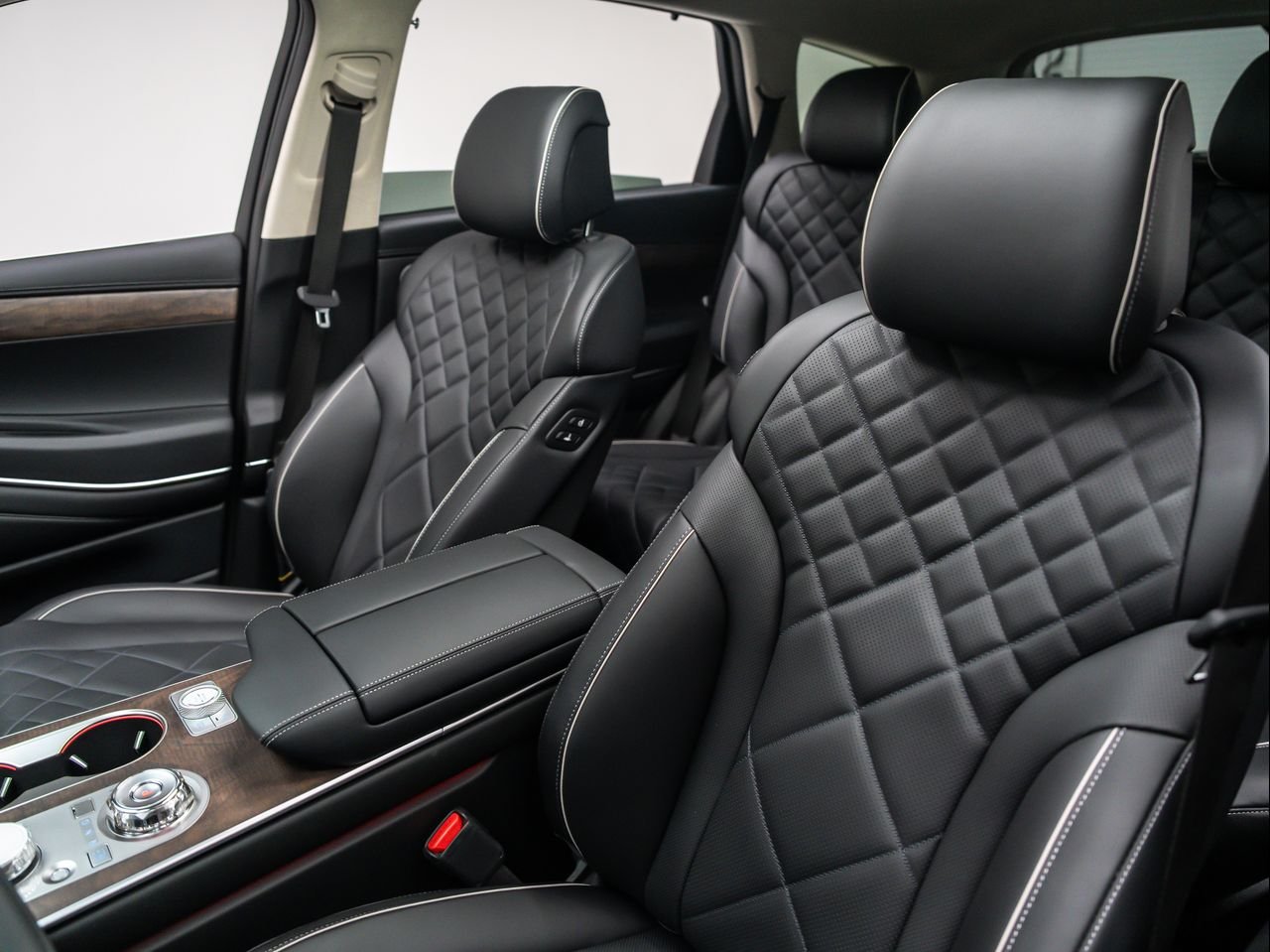 New 2026 Vik Black Genesis 3.5T PRESTIGE image 19
