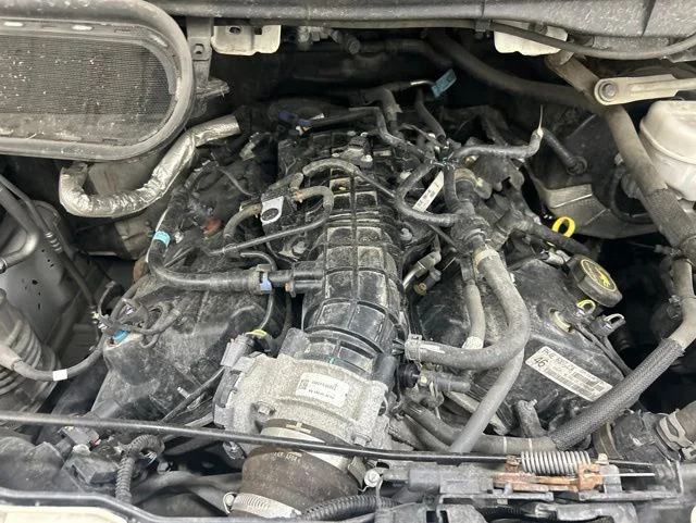 Used 2023 White Ford Base image 24