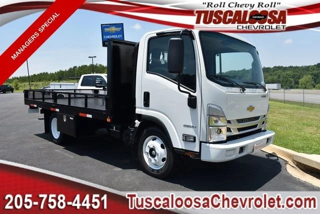 2024 Chevrolet Low Cab Forward 4500 Gas 176" WB Regular Cab's photo