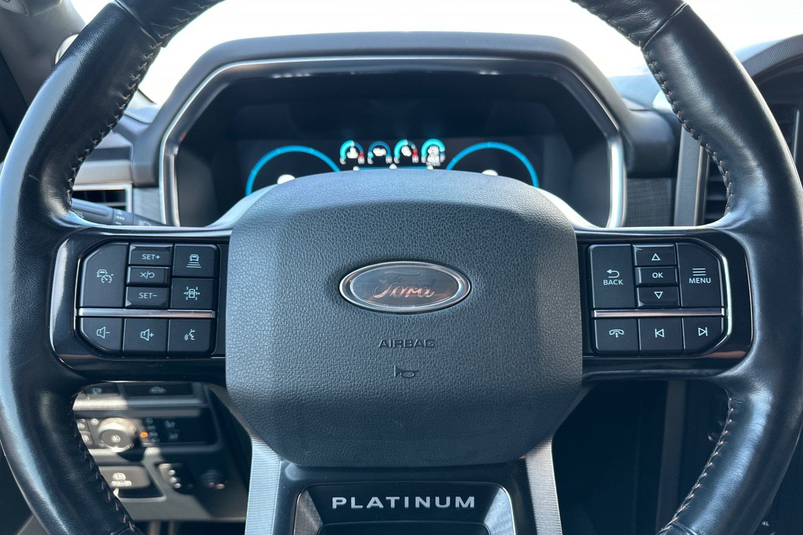 Used 2022 Gray Ford Platinum image 24