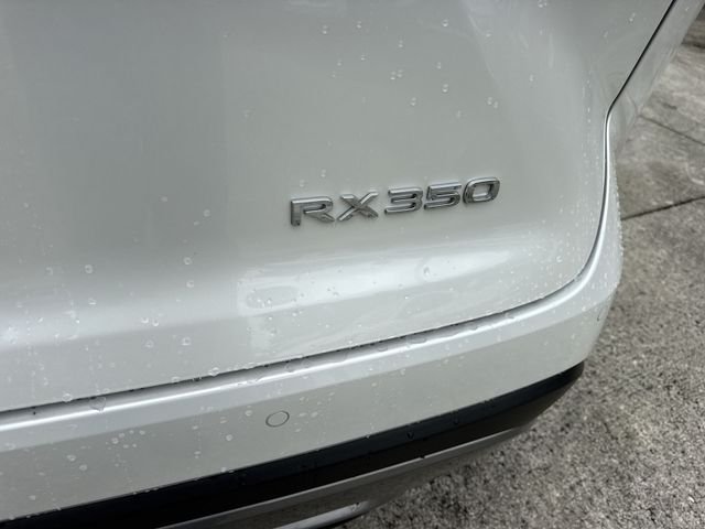 2024 Lexus RX 350 - Photo 25