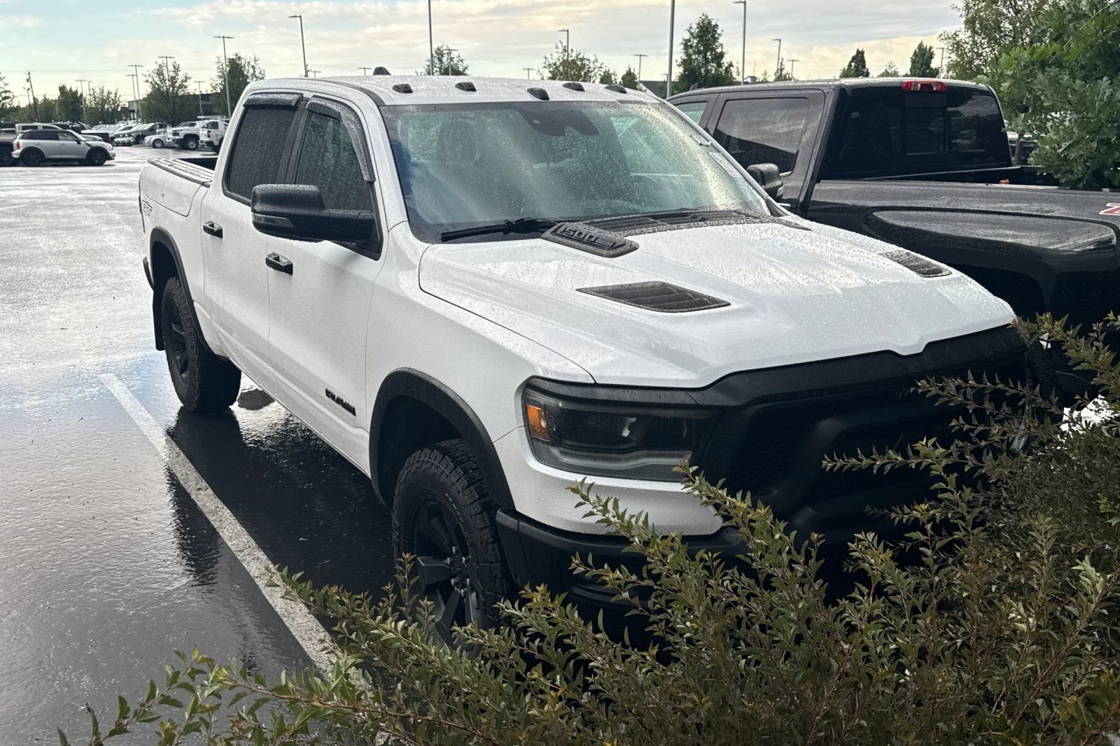 Used 2023 White Ram Rebel image 2