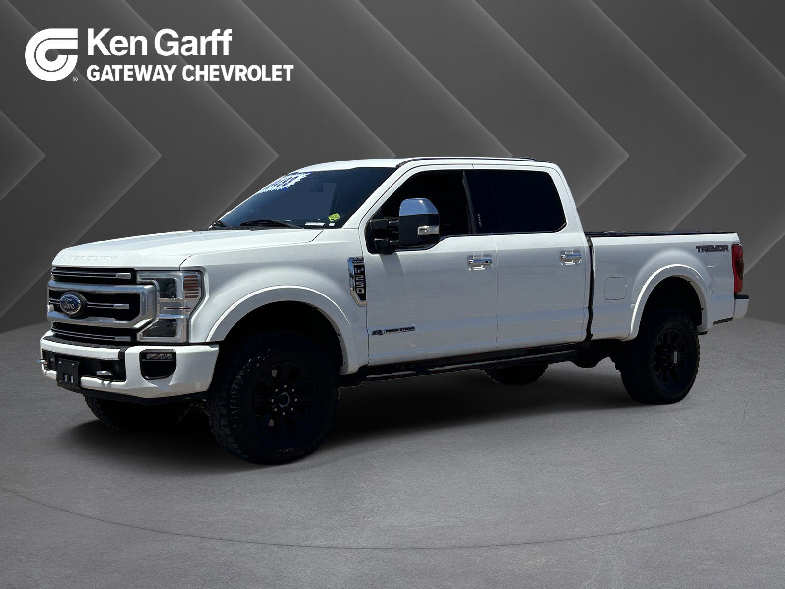 2022 Ford F-250 Platinum 4x4 Crew Cab 8' Box's photo