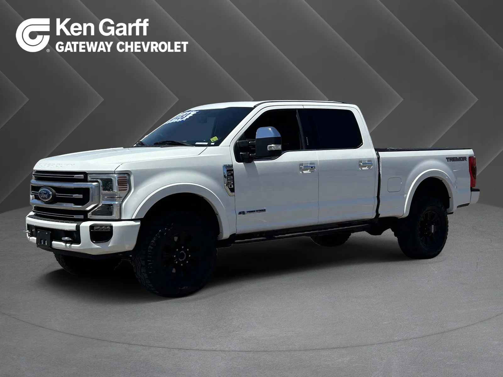 2022 Ford F-250 Platinum 4x4 Crew Cab 8' Box's photo