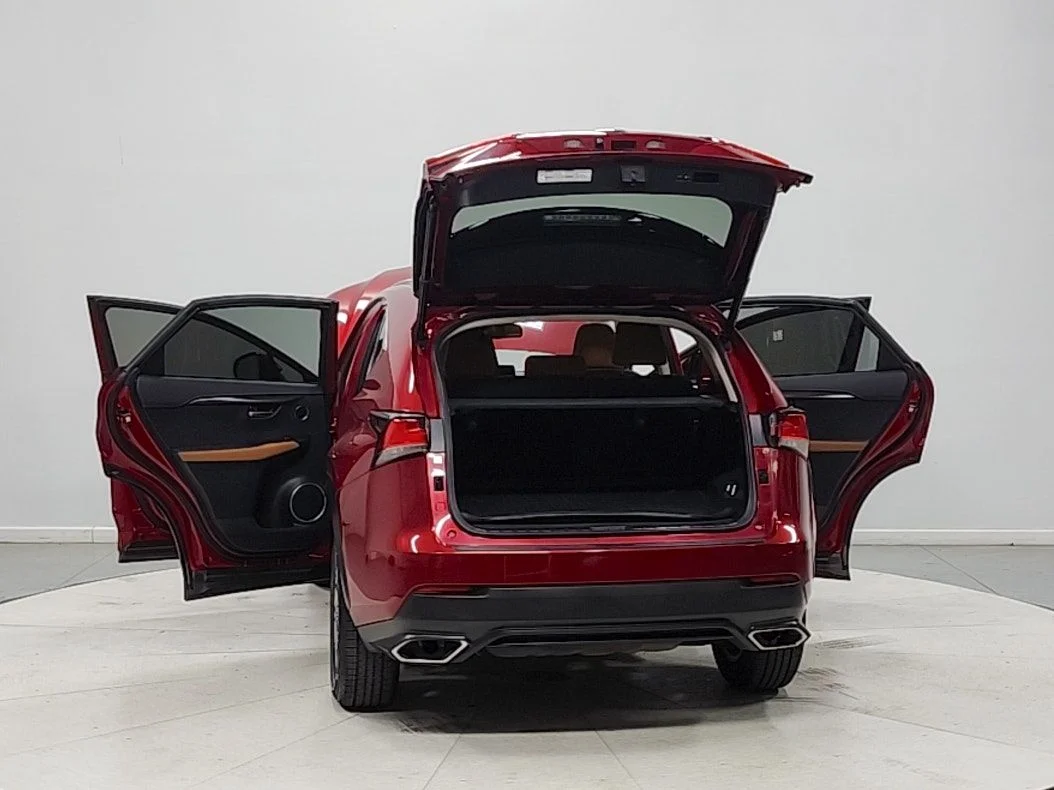 Used 2018 Red Lexus 300 Base image 14