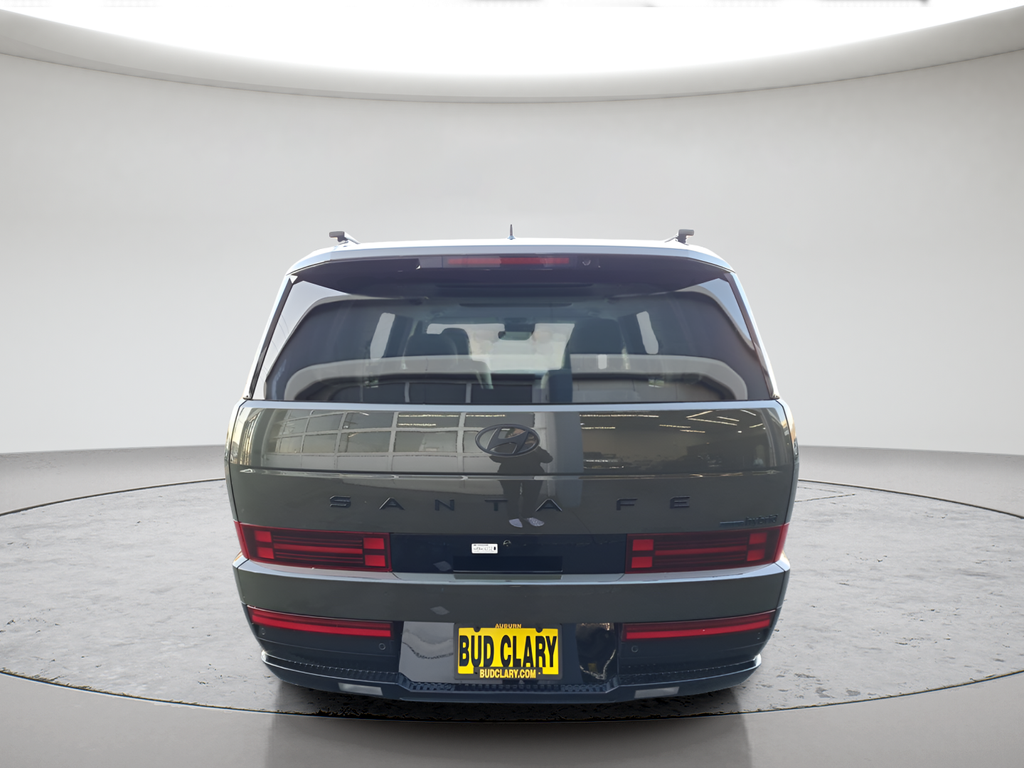 New 2026 Green Hyundai Calligraphy image 4