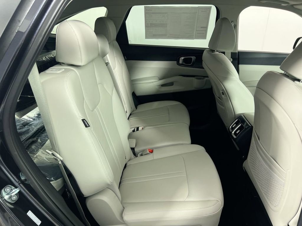 New 2026 Panthera Metal Kia S image 27