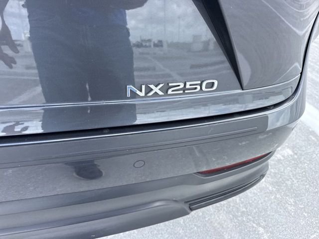 Certified Used 2025 Gray Lexus 250 Premium image 25