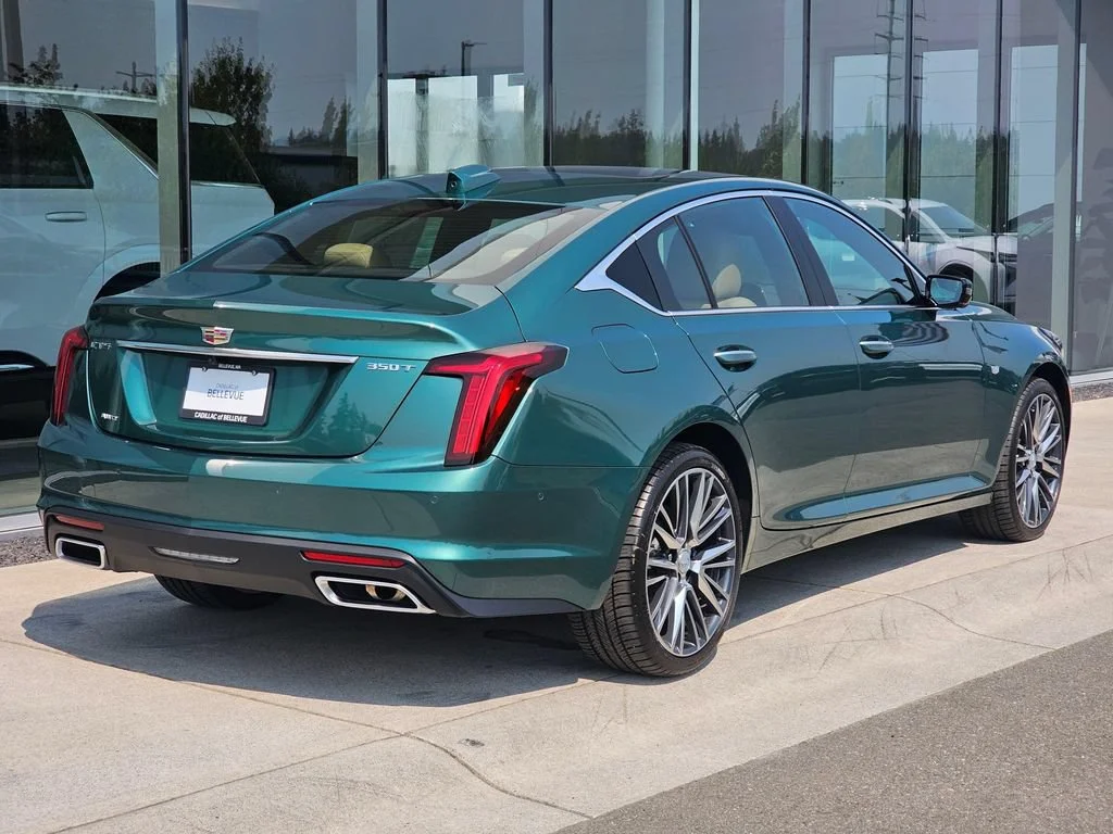 New 2026 Typhoon Metallic Cadillac Premium Luxury image 5