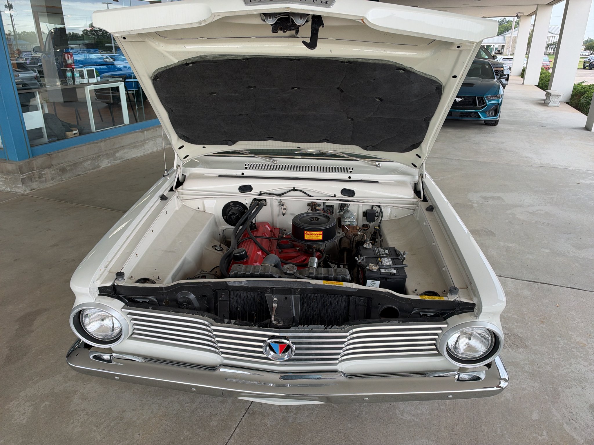 Used 1964 WHITE PLYMOUTH  image 14