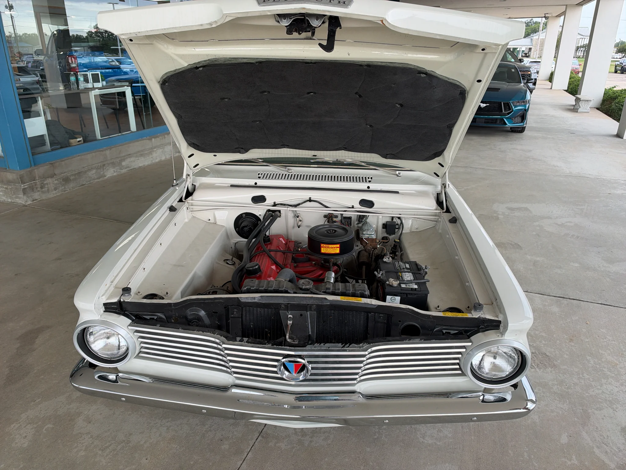 Used 1964 WHITE PLYMOUTH  image 14