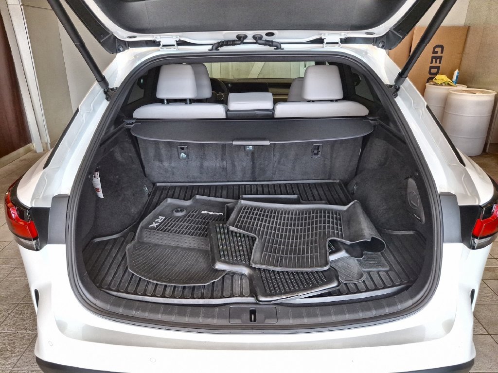 2024 Lexus RX 350 - Photo 18
