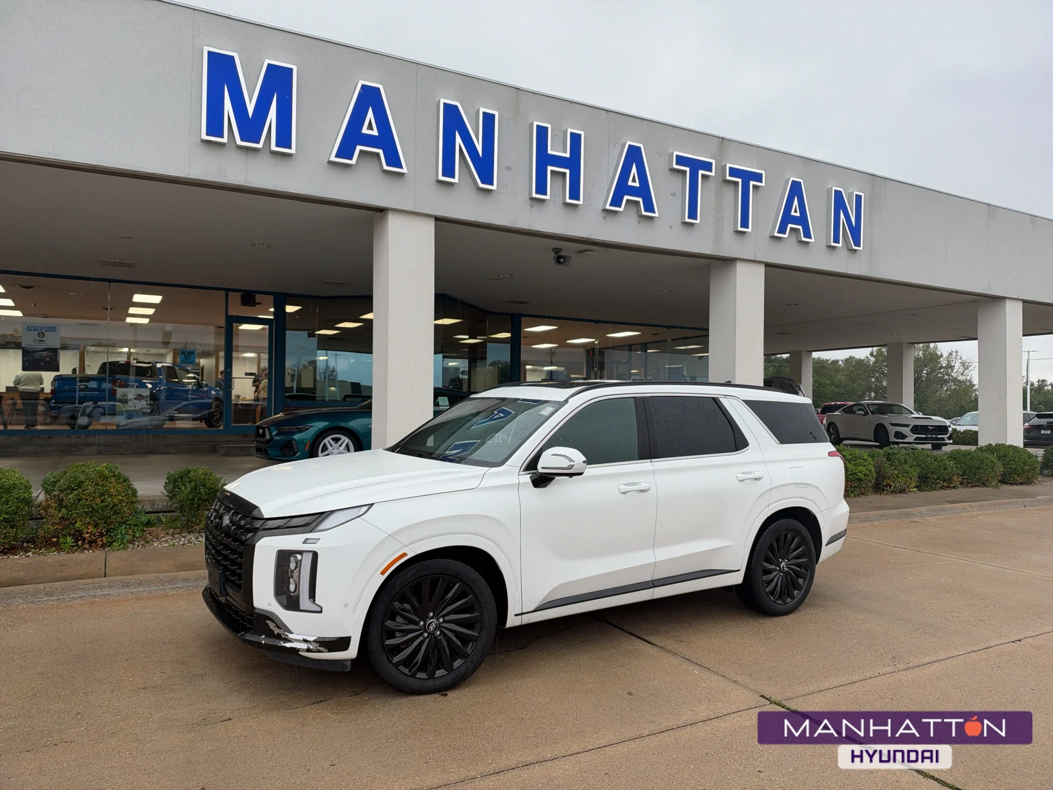2024 Hyundai Palisade Calligraphy Night Edition