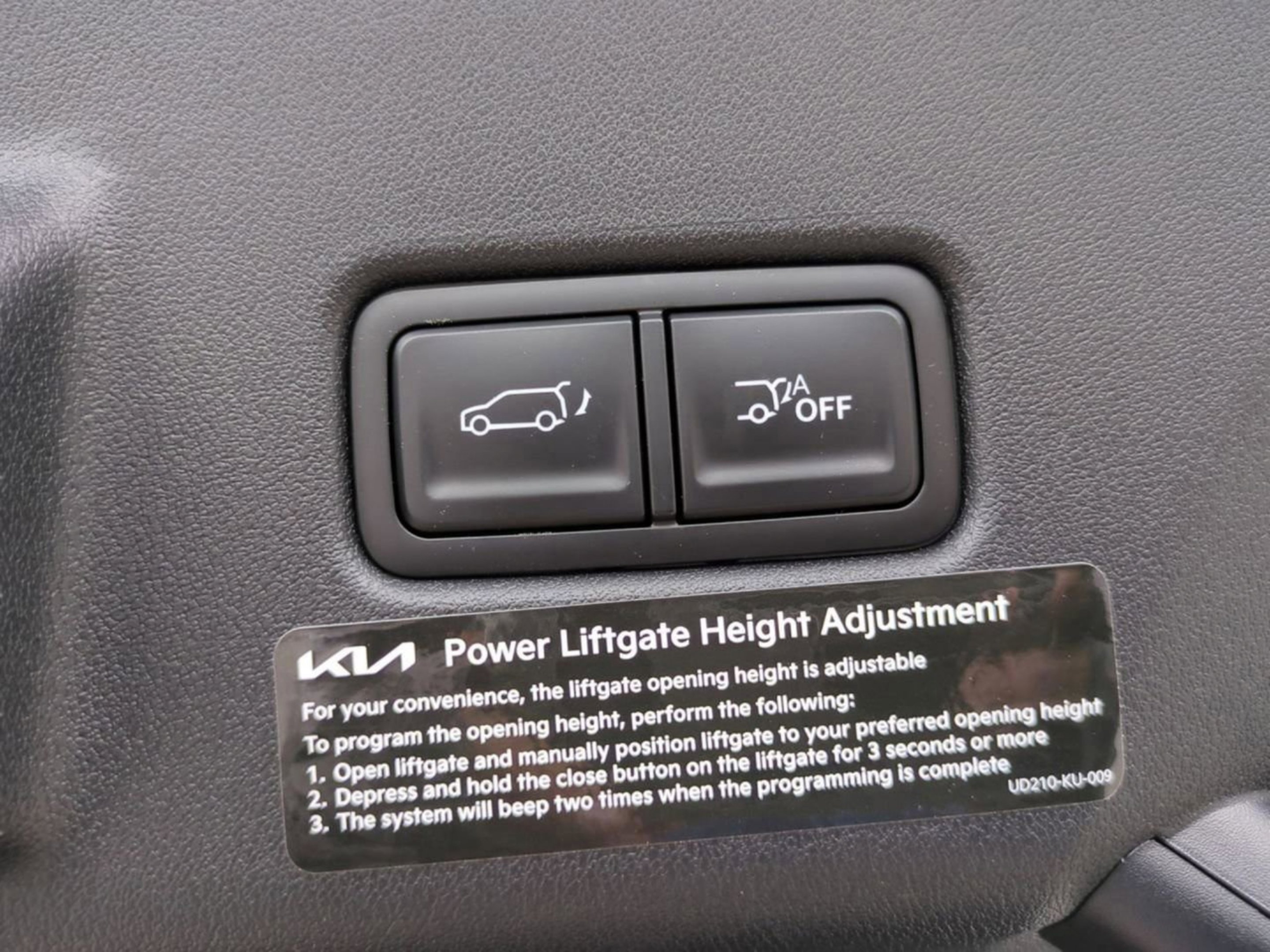 New 2027 Black Jade Green Kia X-LINE SX image 16