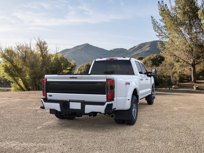 New 2026 White Ford Platinum image 8
