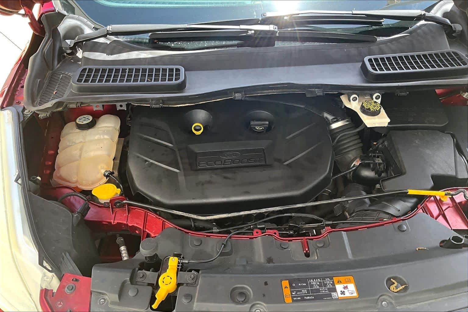 Used 2013 Ruby Red Ford SEL image 32