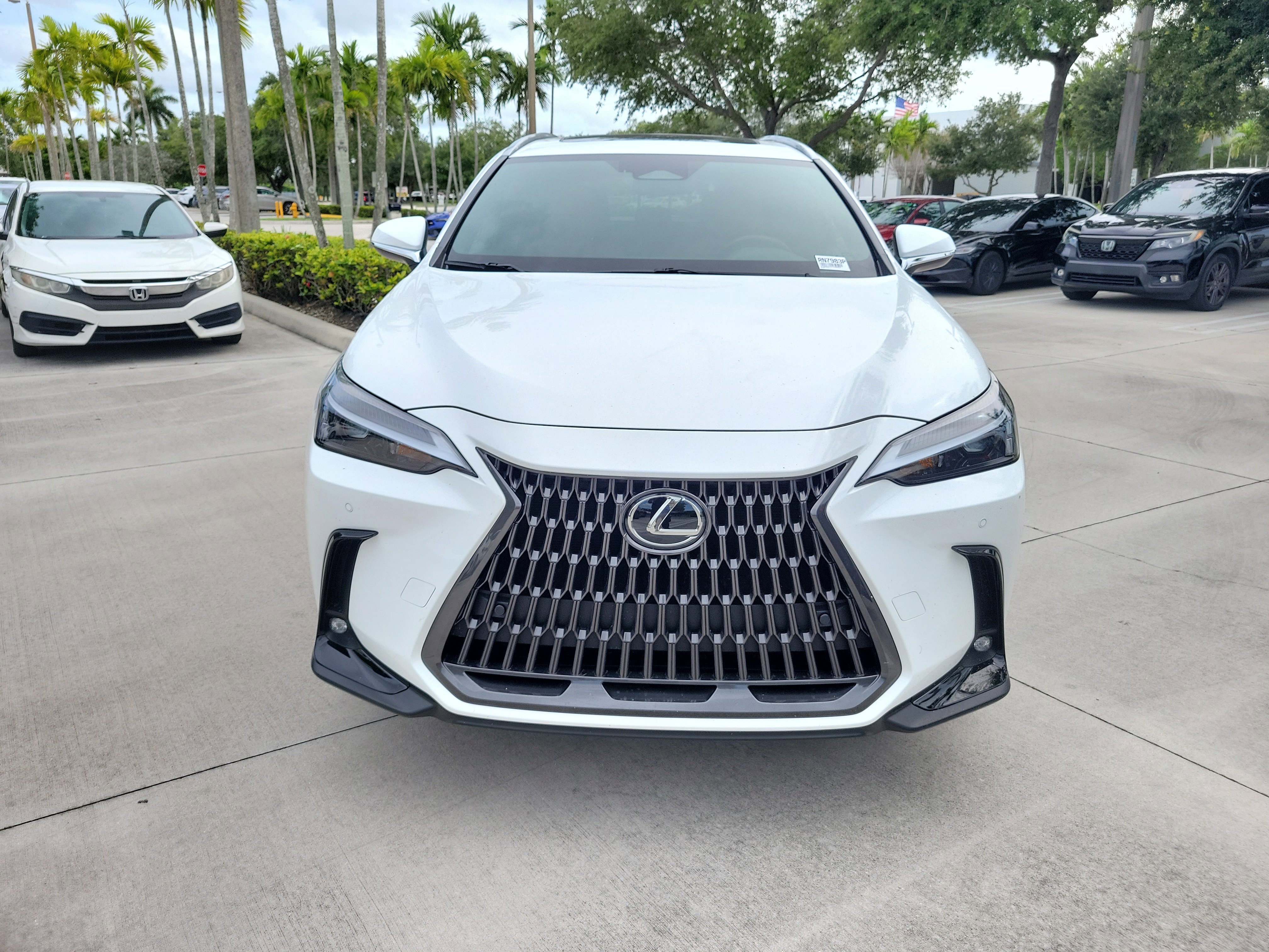 Certified Used 2026 Ultra White Lexus NX 350 image 4