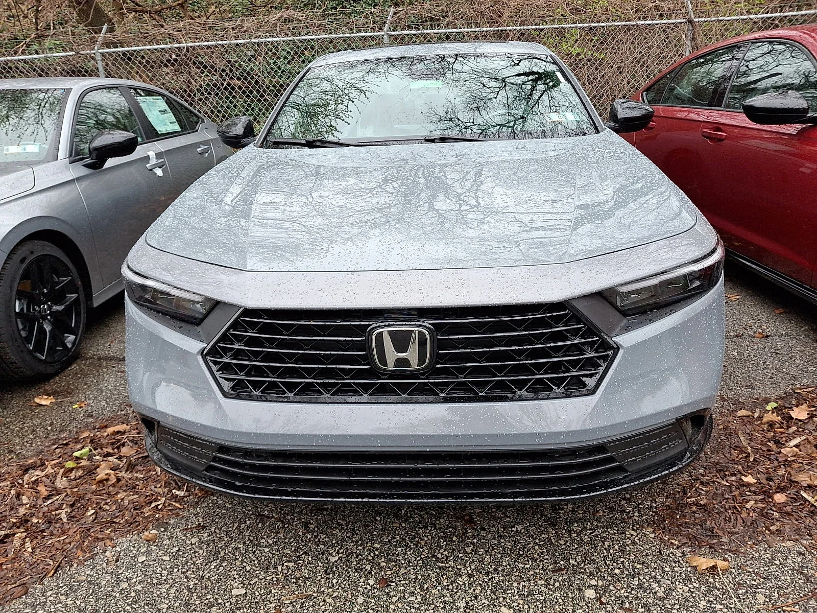 New 2026 Urban Gray Pearl Honda Sport-L image 2