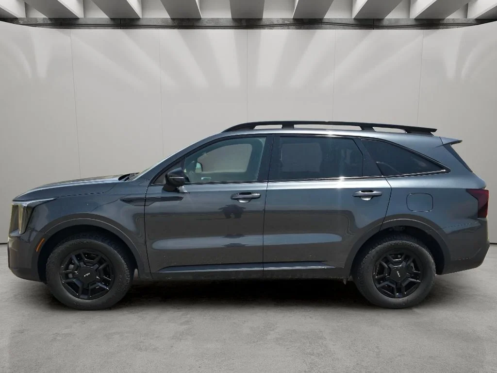 Used 2024 Gravity Grey Kia X-Pro SX Prestige image 2