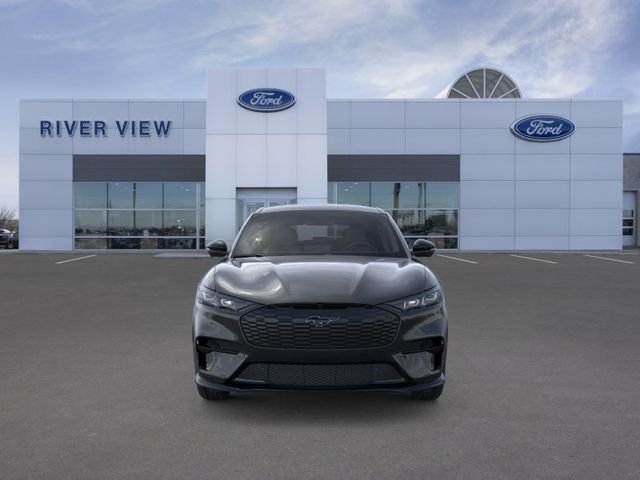 New 2026 Shadow Black Ford Premium image 6