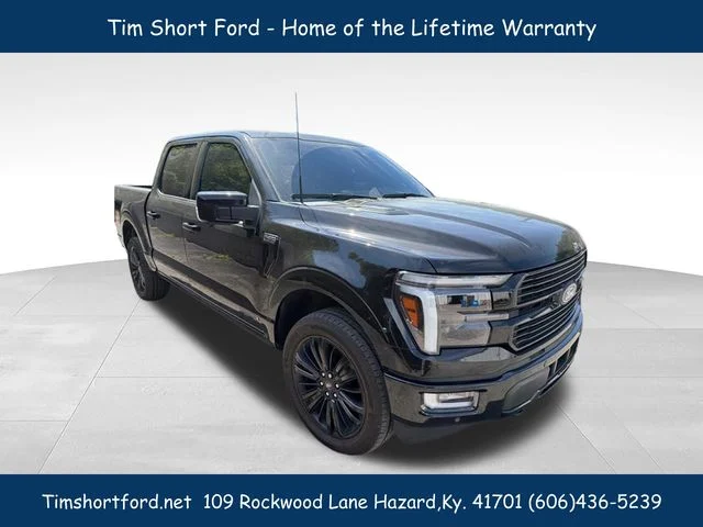Used 2025 Black Ford Platinum image 3