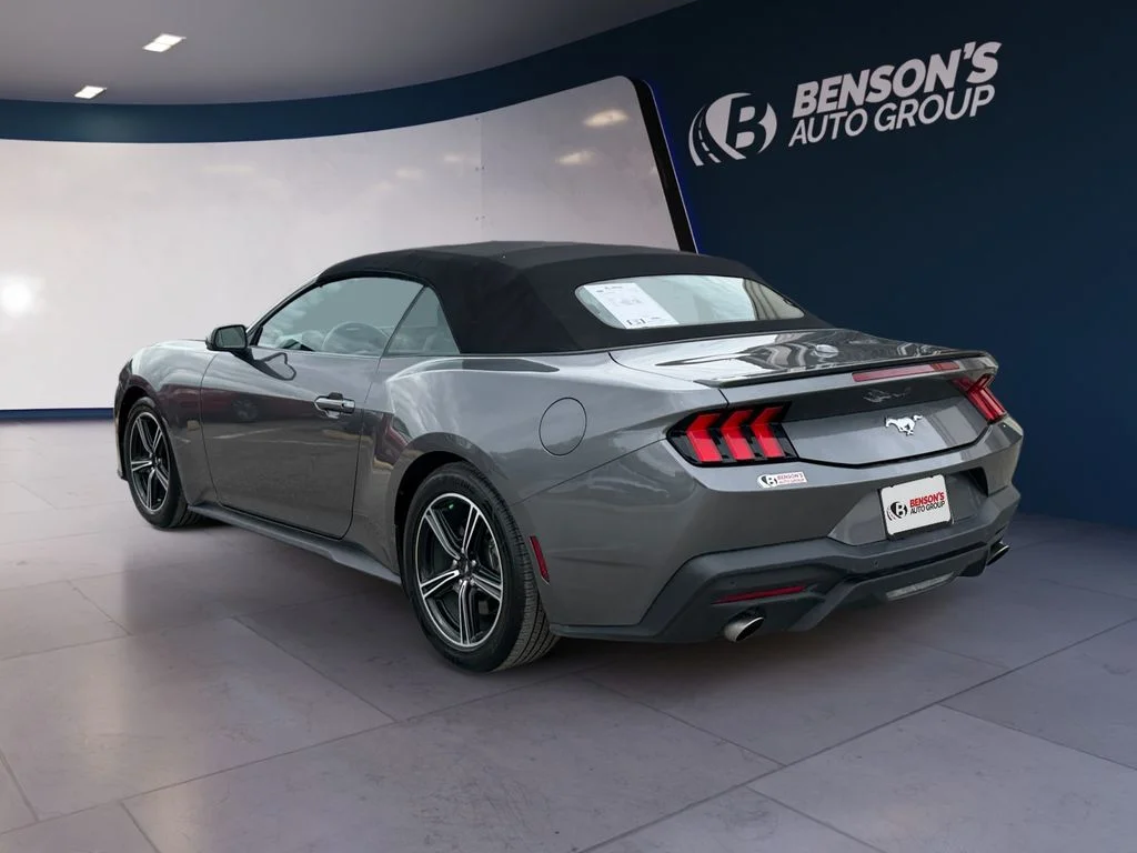 Used 2024 Gray Ford EcoBoost Premium image 3