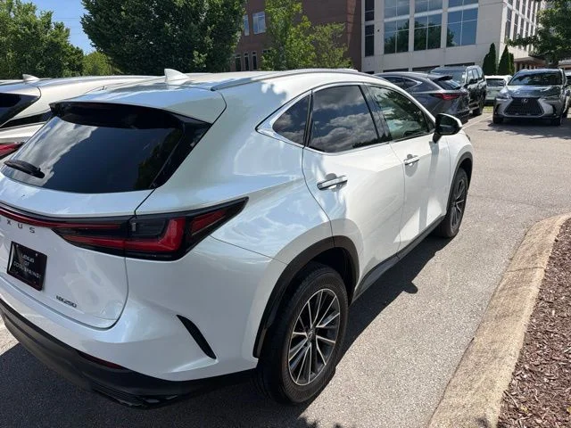 2024 Lexus NX 250 - Photo 6