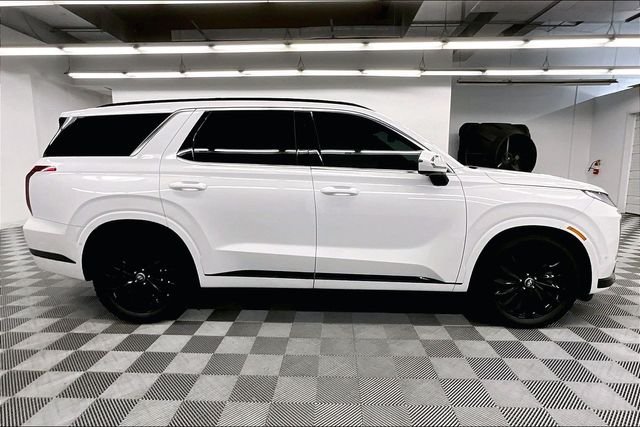 2025 Hyundai Palisade Calligraphy Night Edition - Photo 15