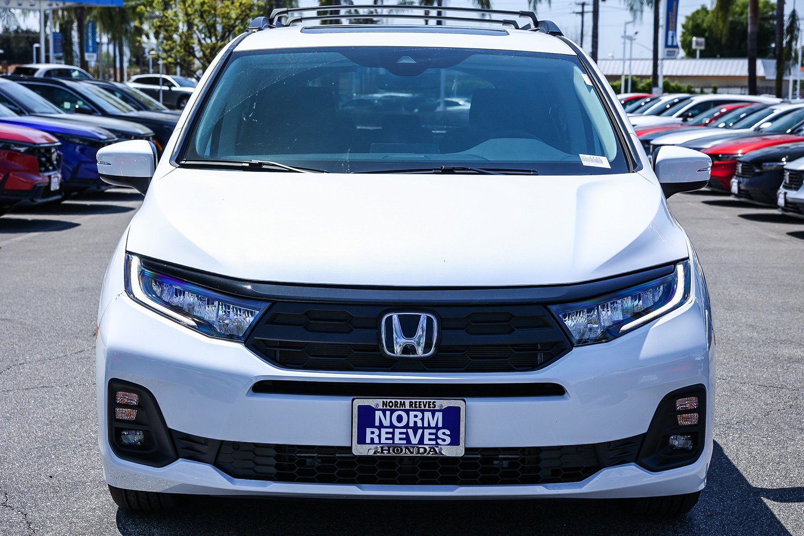 New 2026 Platinum White Pearl Honda EX-L Auto image 2