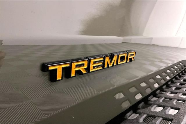 2025 Ford Expedition Tremor - Photo 37