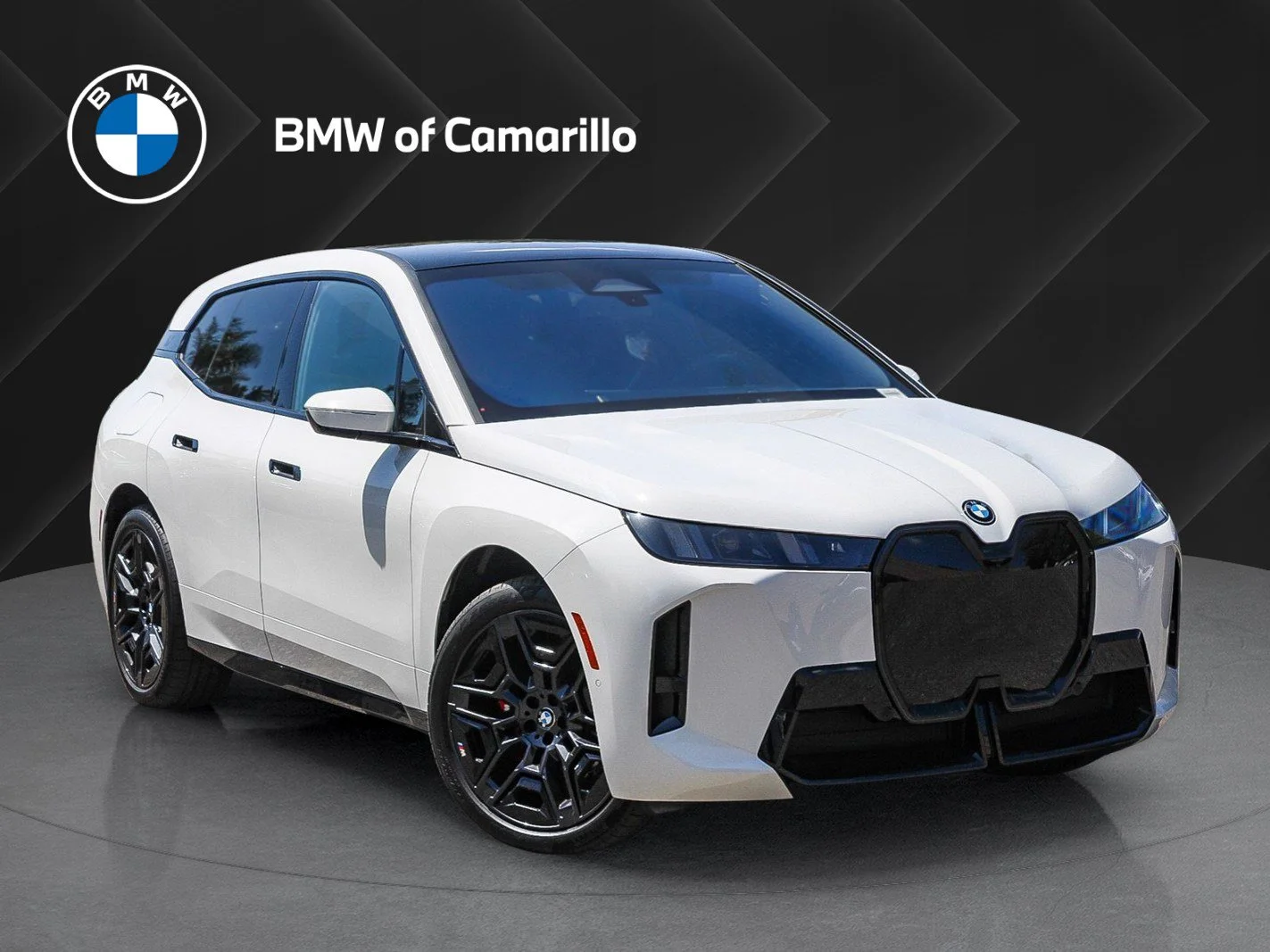 2026 BMW iX xDrive60's photo
