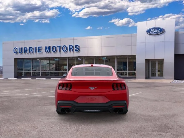 New 2026 Race Red Ford EcoBoost Premium image 5