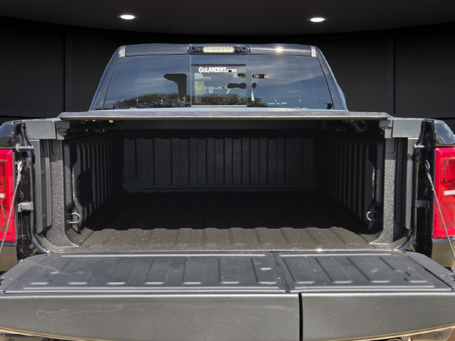 New 2027 Diamond Black Crystal Pearl-Coat Exterior Paint RAM Limited image 5