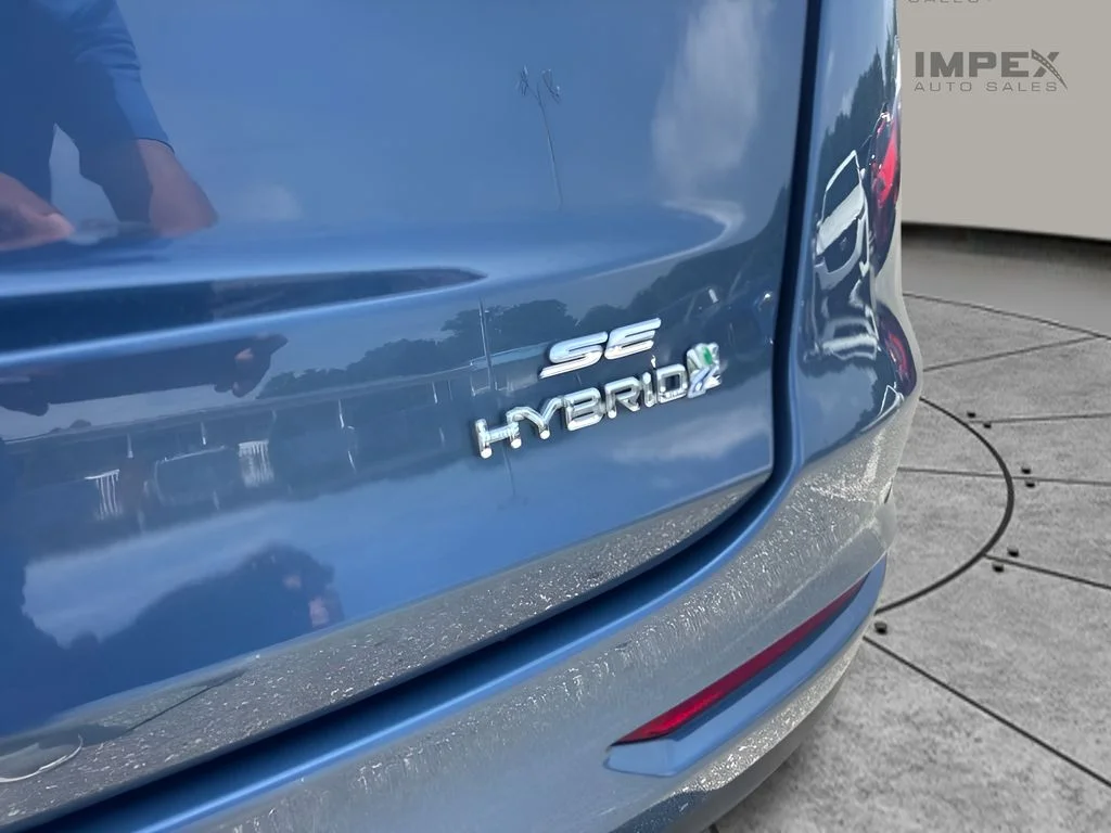 Used 2019 Blue Ford SE image 19