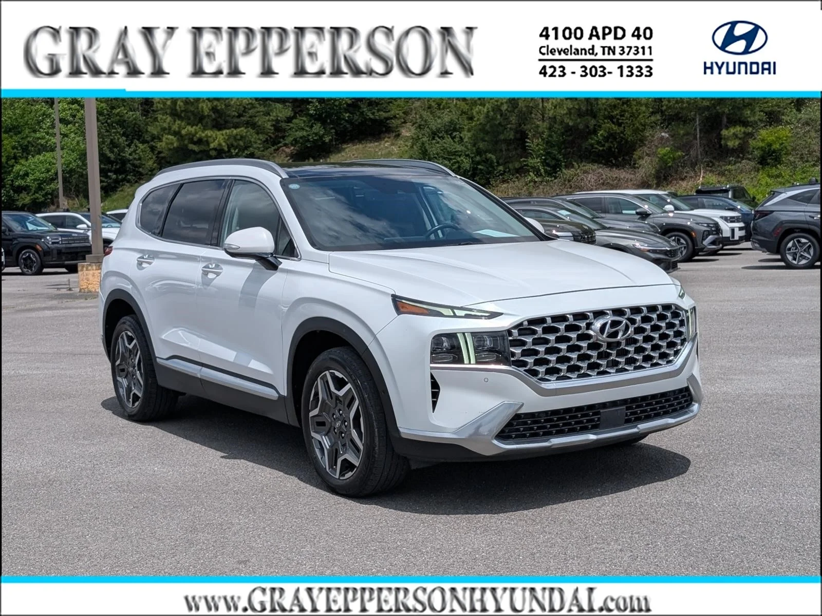 2021 Hyundai Santa Fe Limited 2.5's photo