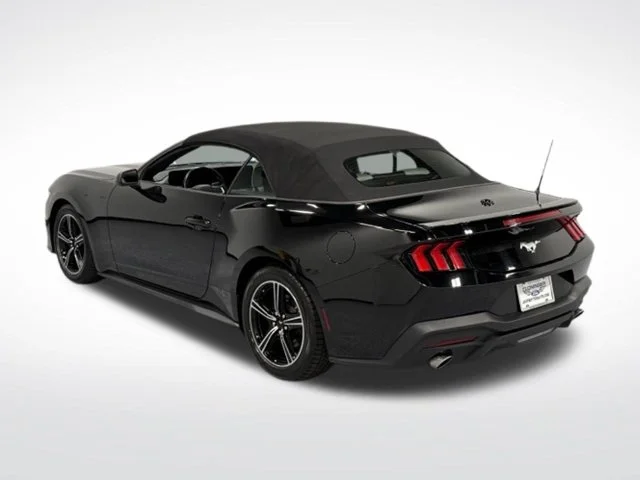 Used 2024 Black Ford EcoBoost Premium image 7