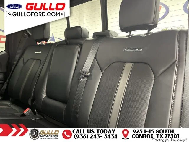 Certified Used 2020 Magnetic Metallic Ford Platinum image 14