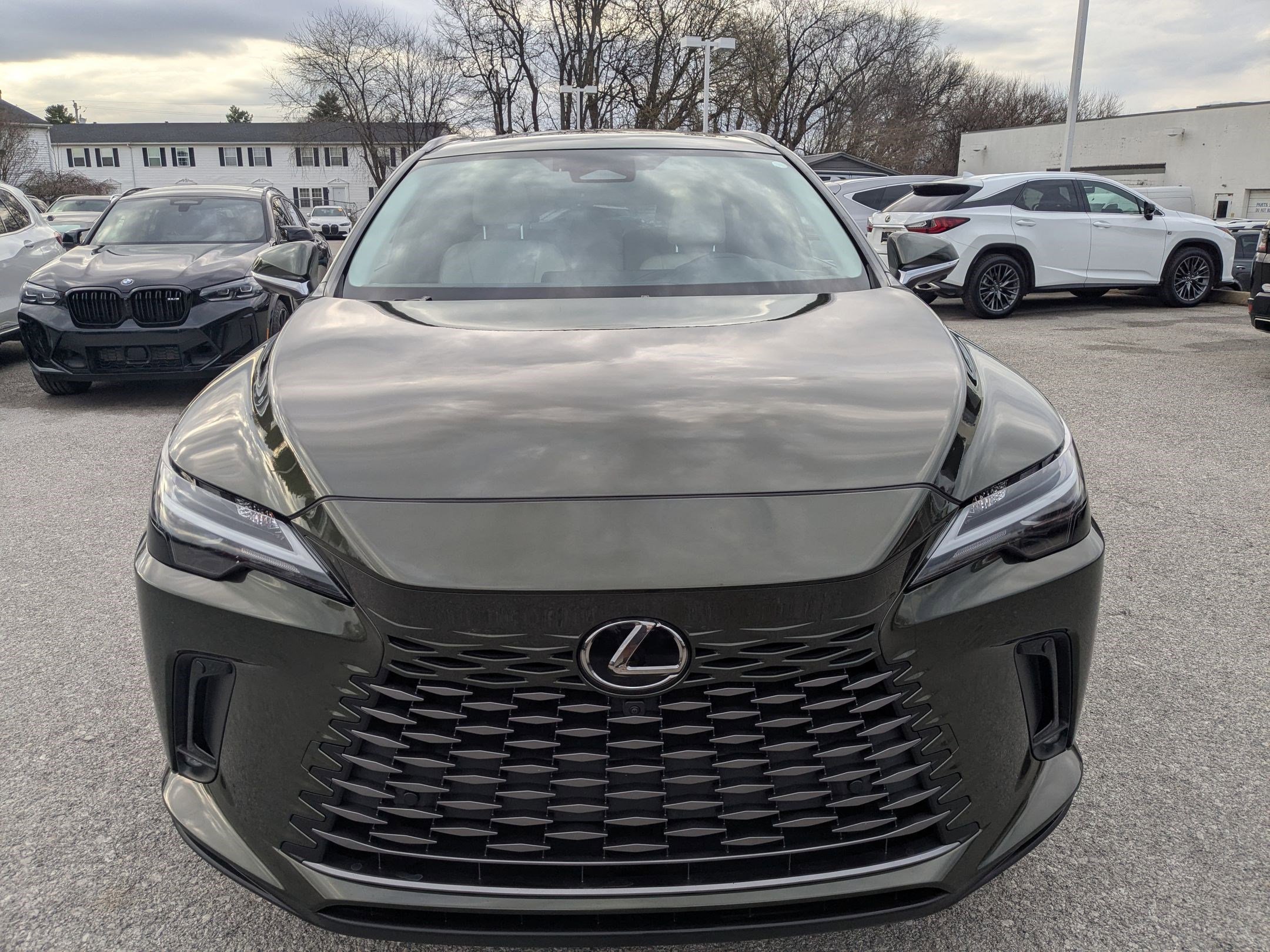 2023 Lexus RX 350 350 Premium Plus FWD's photo