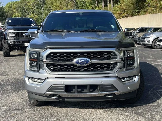 Used 2021 Silver Ford Platinum image 9
