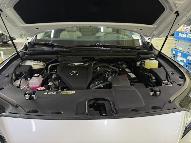 New 2026 Eminent White Pearl Lexus  350 PREMIUM+ AWD image 20