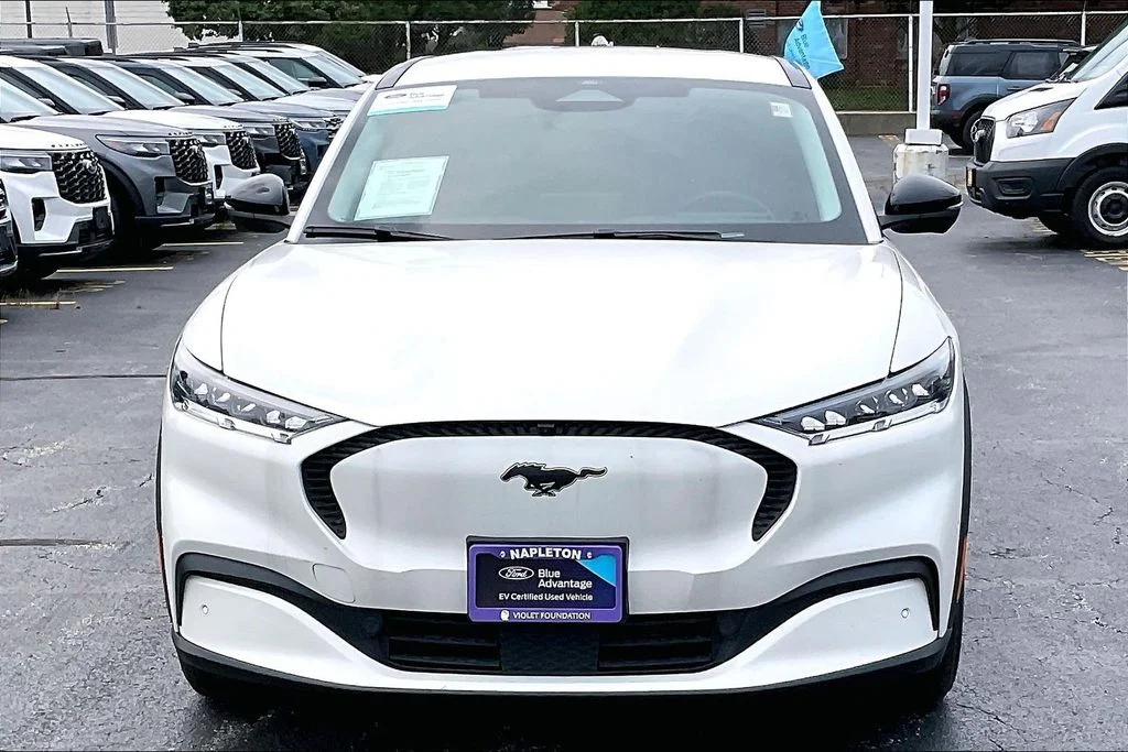 Used 2023 White Ford Select image 2