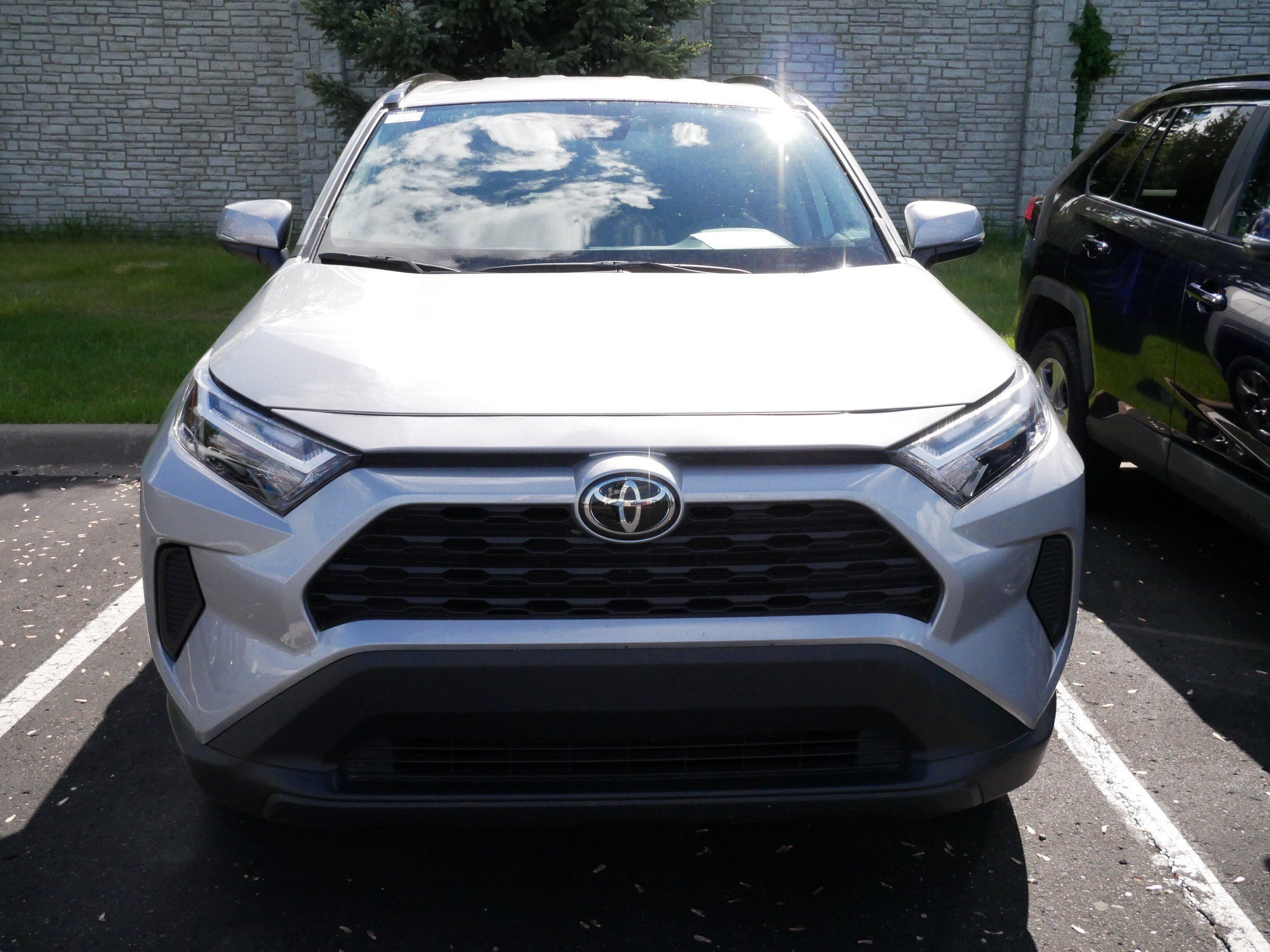 Certified 2025 Toyota RAV4 XLE with VIN 2T3P1RFVXSW542966 for sale in Brooklyn Center, Minnesota