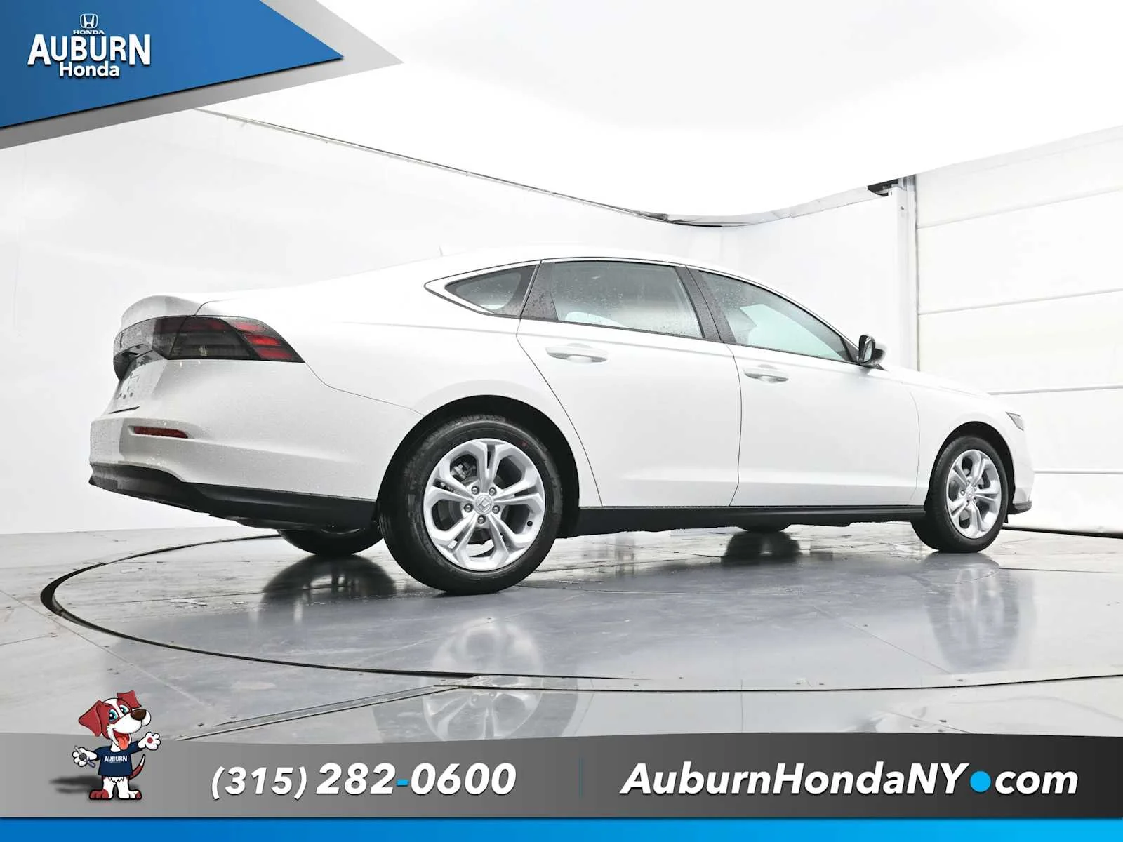New 2025 Platinum White Pearl Honda LX image 22